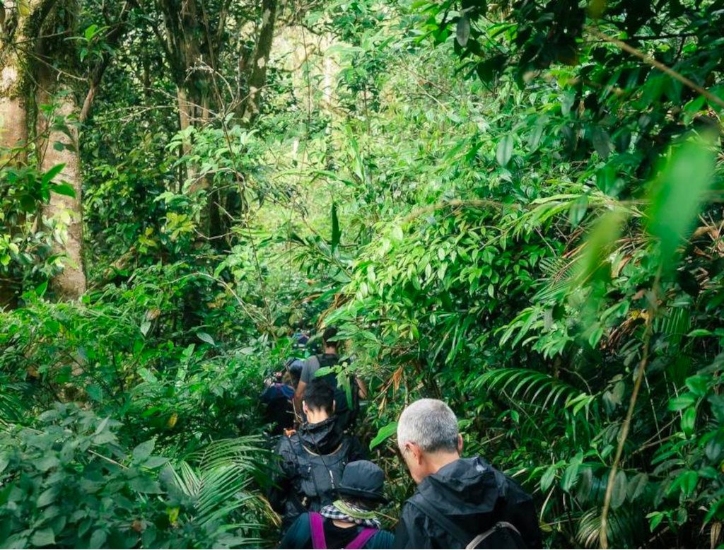 Trekking Through Cambodia from Siem Reap to Ho Chi Minh City 18 Day